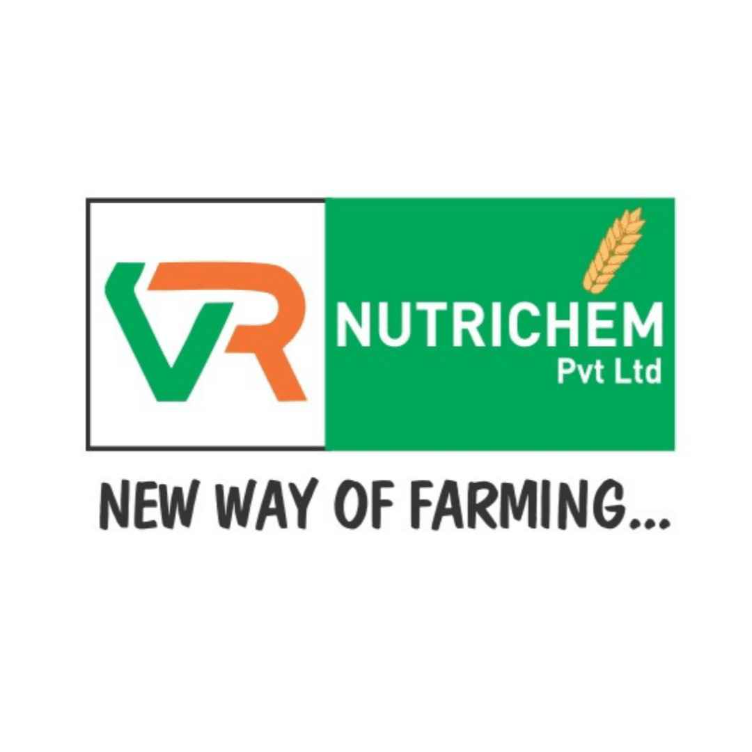 Creative Digital Marketing Agency